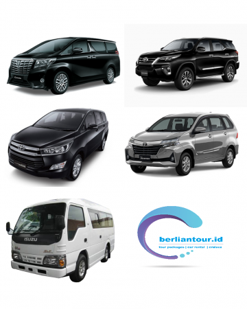 Car Rentals