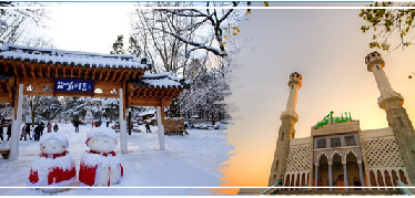 HALAL TOUR KOREA 5D
