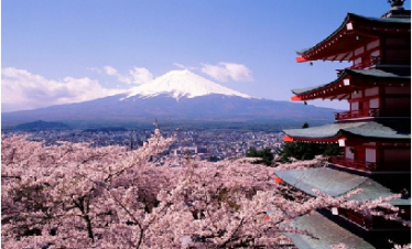 SPECIAL GROUP SERIES/OPEN TRIP